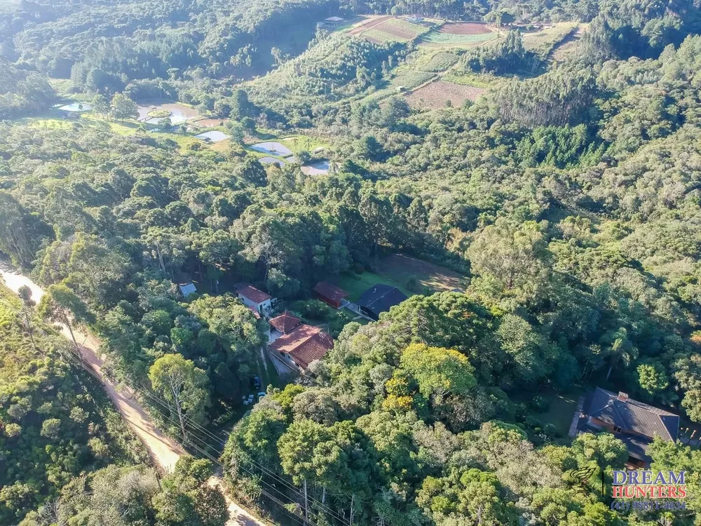 Chácara, 4 quartos, 3 hectares - Foto 4