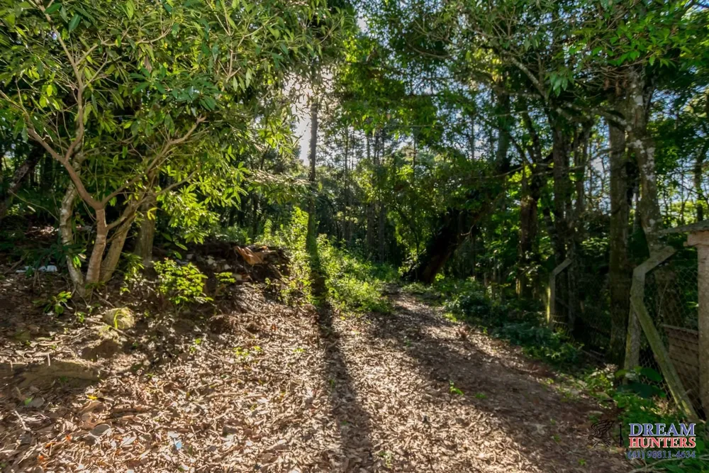 Chácara, 4 quartos, 3 hectares - Foto 12