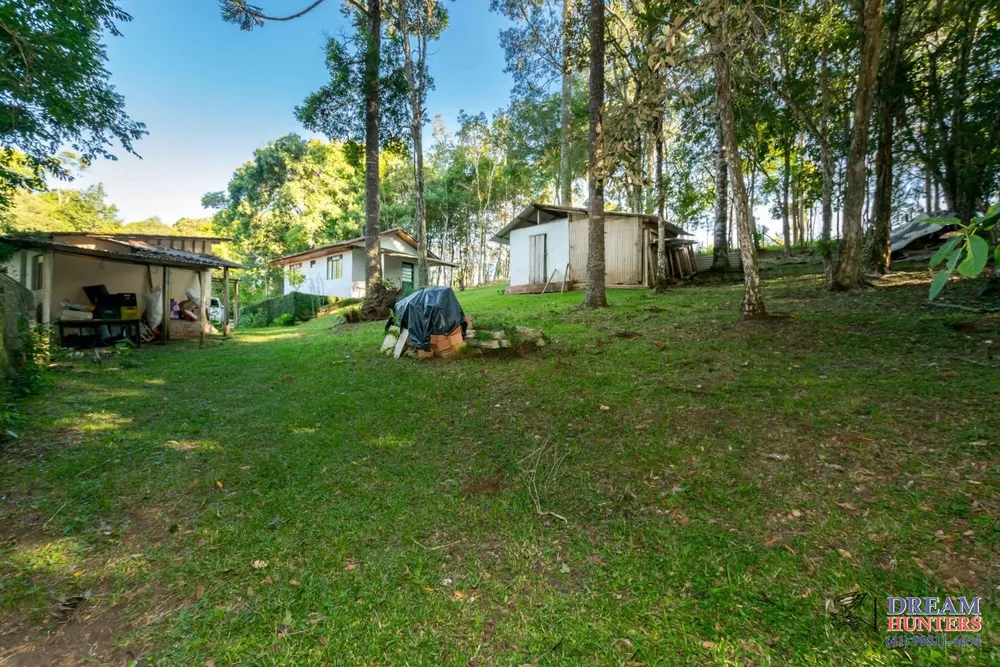 Chácara, 4 quartos, 3 hectares - Foto 13
