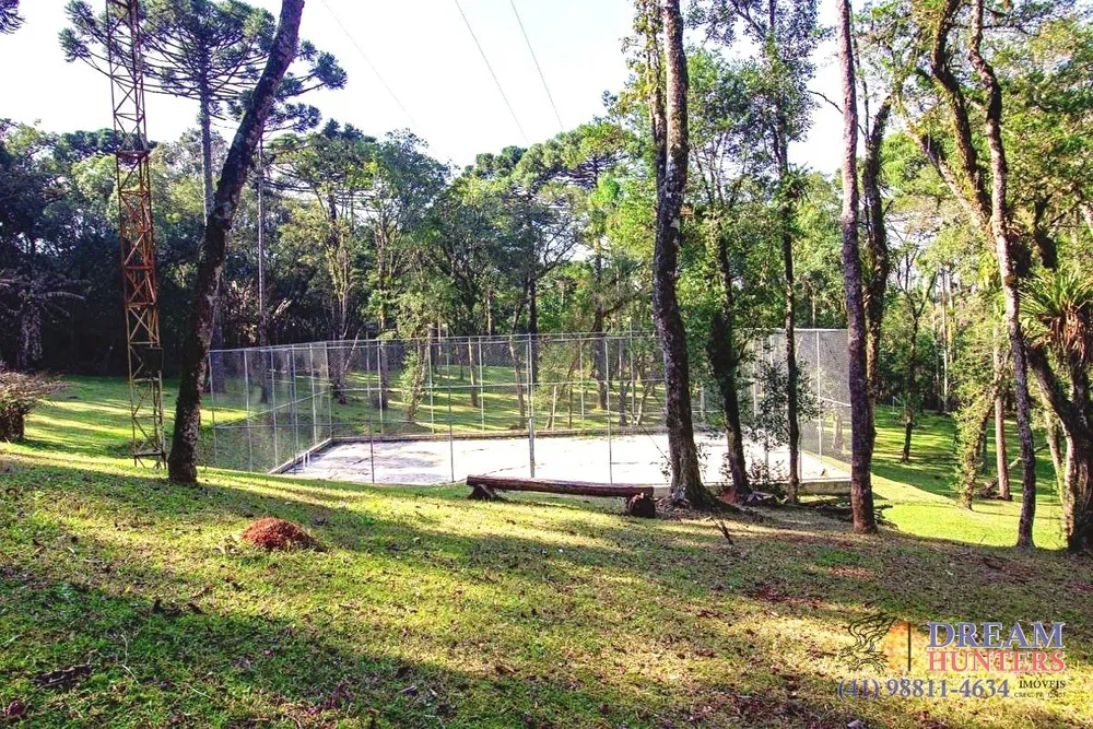 Chácara, 4 quartos, 5 hectares - Foto 9