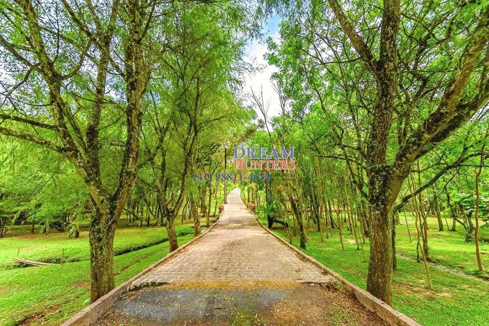 Chácara, 4 quartos, 5 hectares - Foto 3
