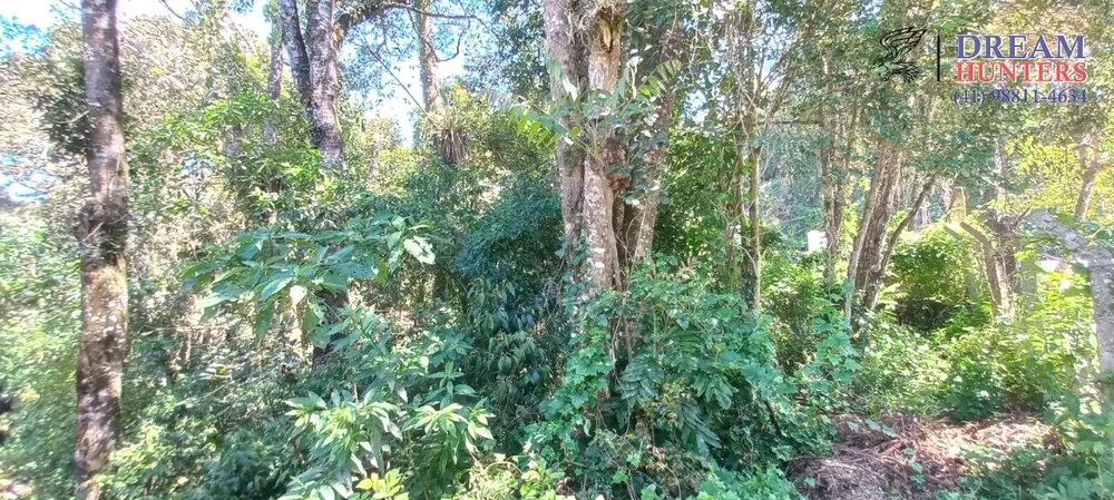 Terreno, 581 m² - Foto 4