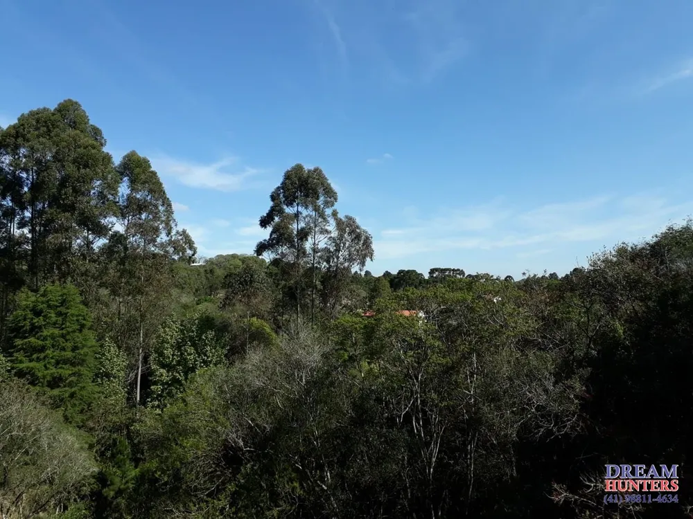 Terreno, 6 hectares - Foto 3