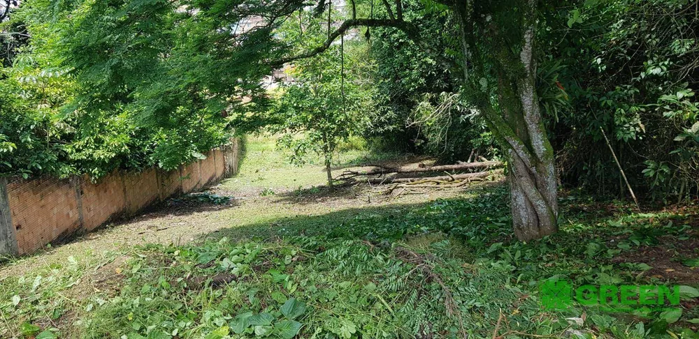 Terreno, 748 m² - Foto 3