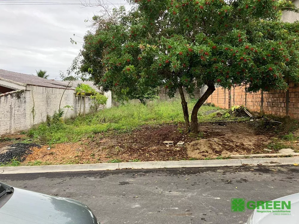 Terreno à venda, 300M2 - Foto 3