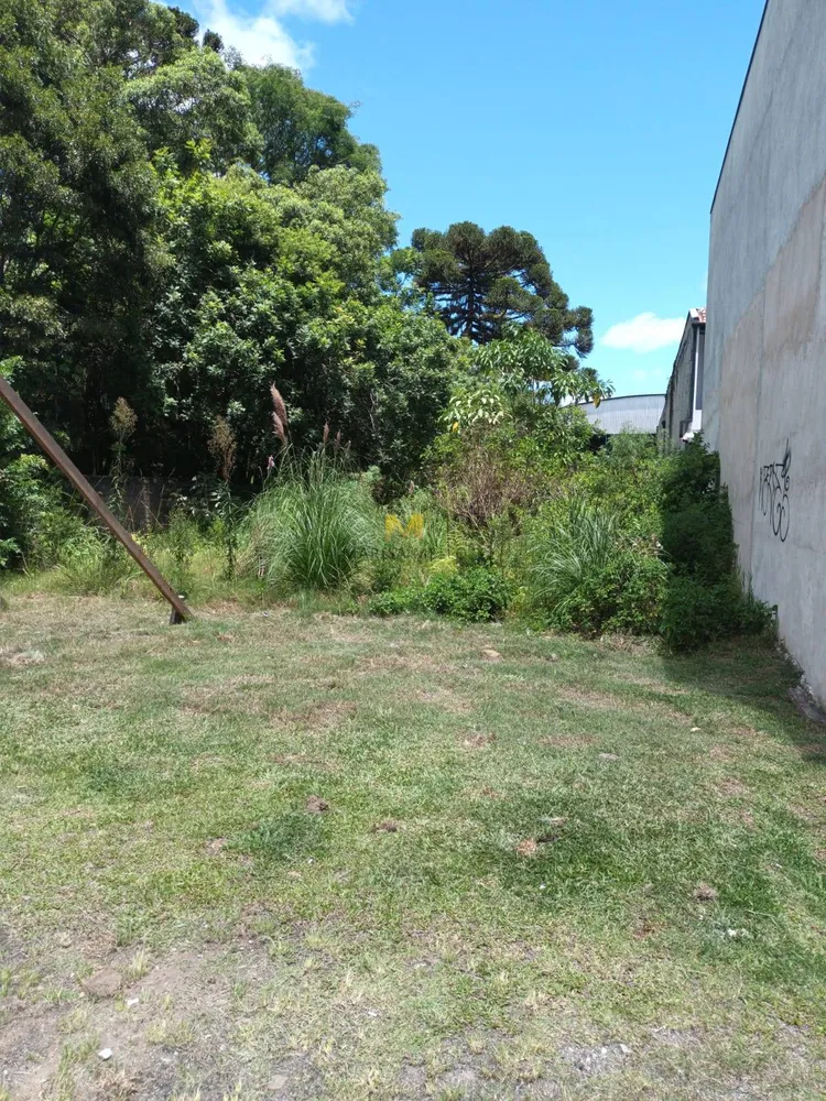 Terreno, 744 m² - Foto 4