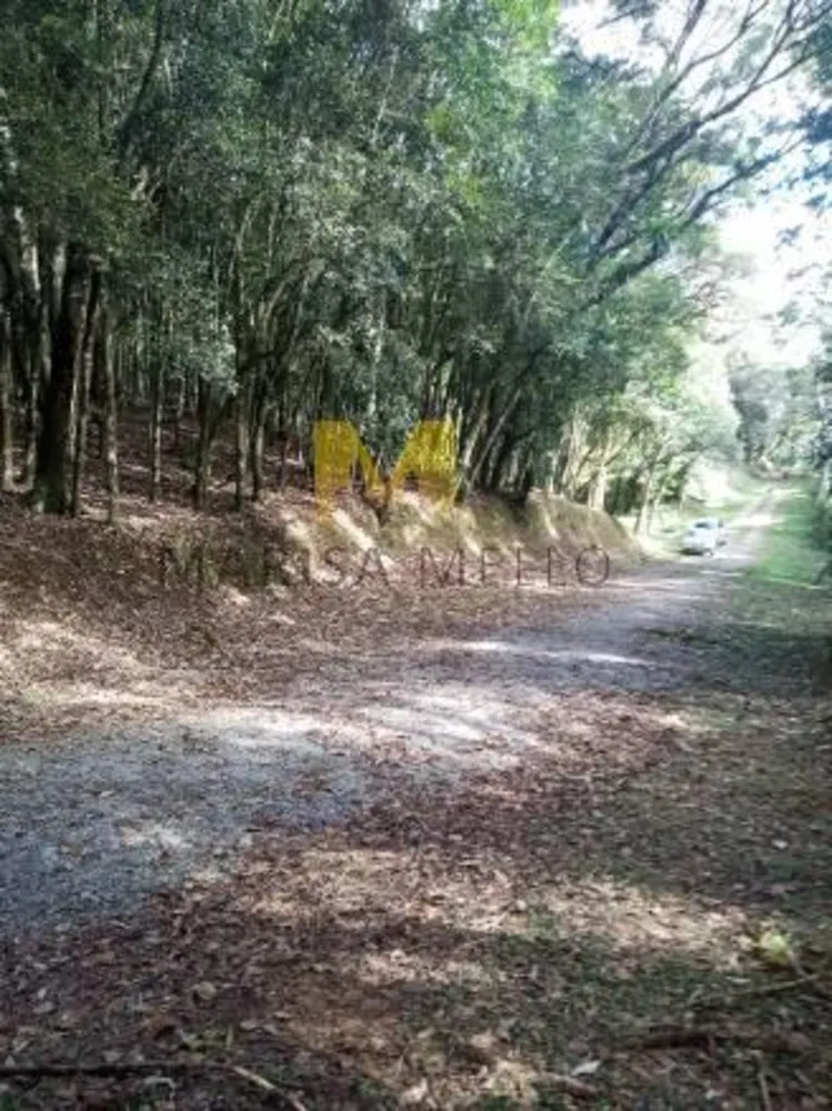 Chácara - Foto 5