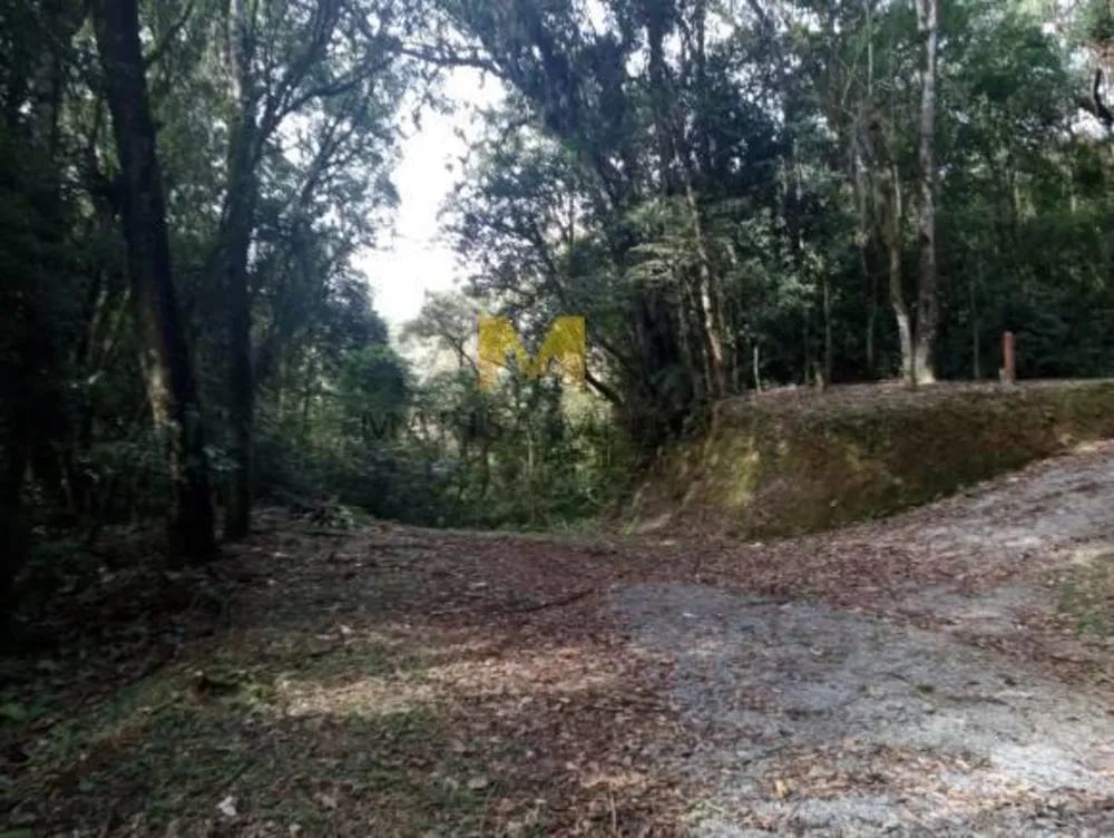 Chácara - Foto 7