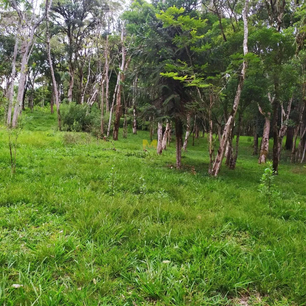 Chácara - Foto 5