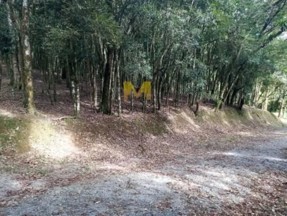 Chácara - Foto 8