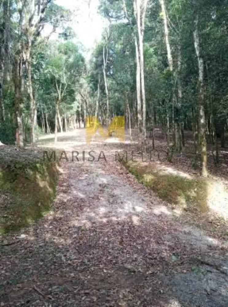 Chácara - Foto 4