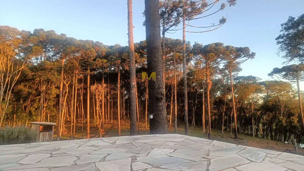 Chácara, 2 quartos - Foto 6