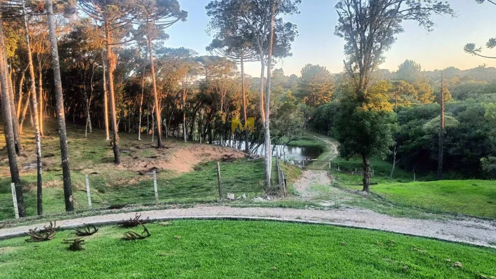 Chácara, 2 quartos - Foto 3