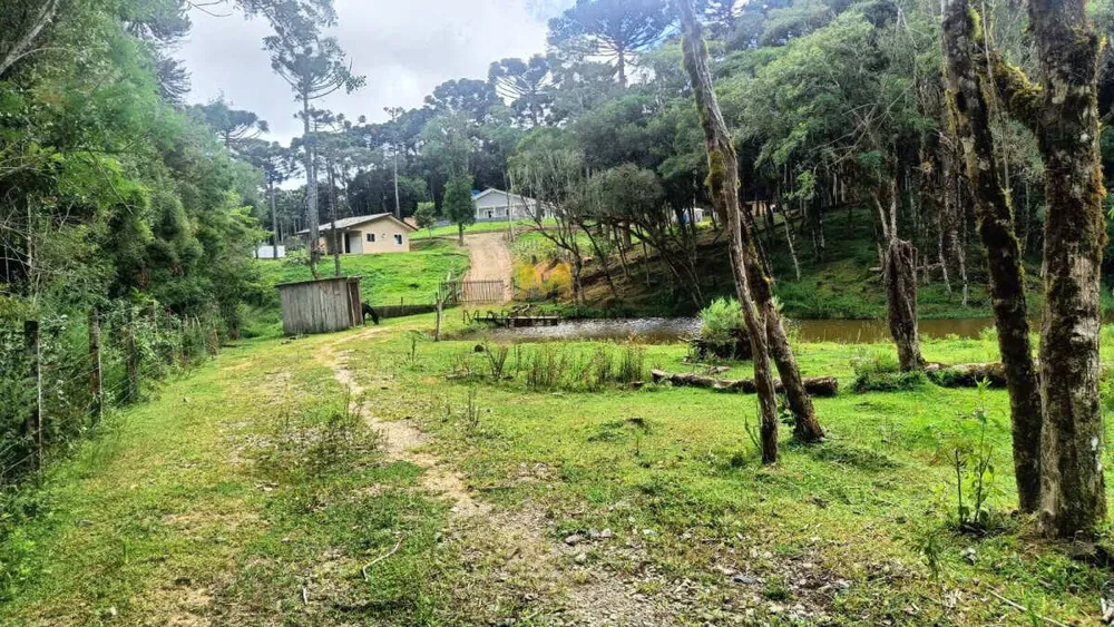 Chácara, 2 quartos - Foto 4