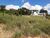 Terreno, 1193 m² - Foto 2