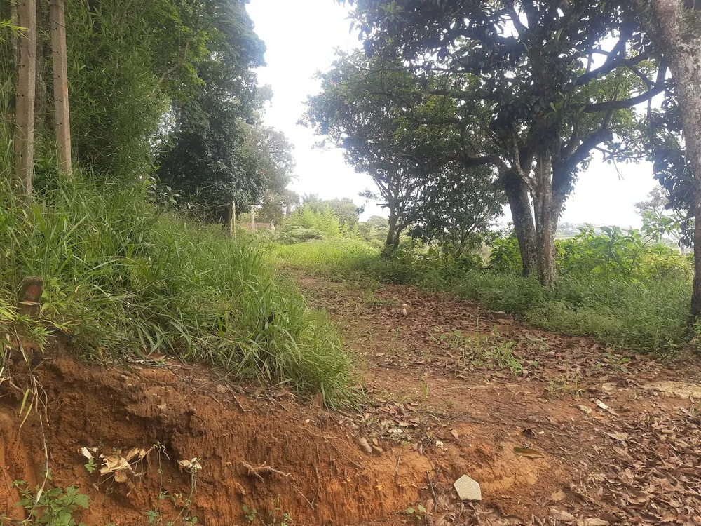 Terreno, 600 m² - Foto 11