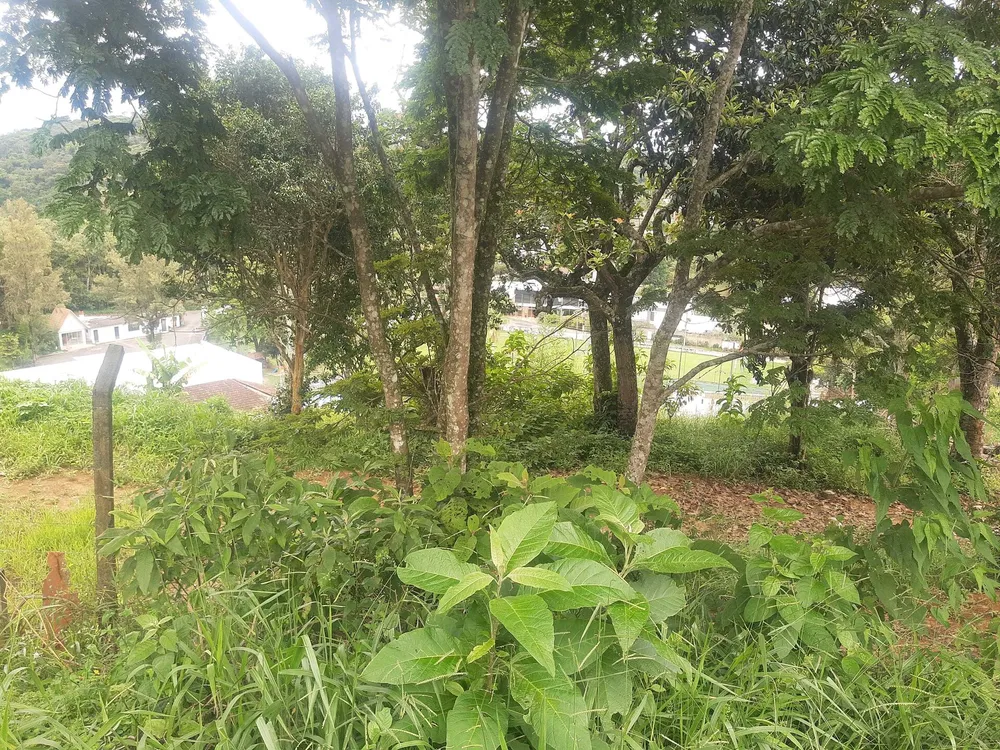 Terreno, 600 m² - Foto 6