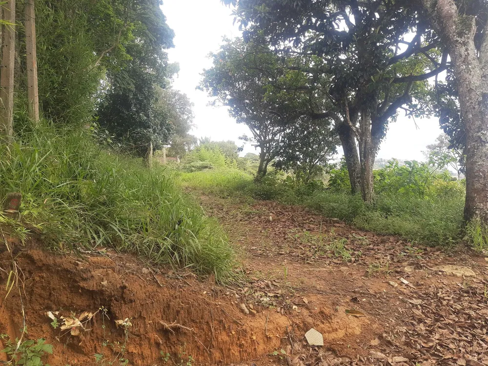 Terreno, 600 m² - Foto 12