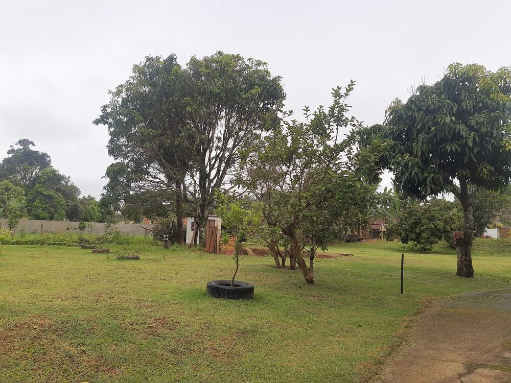 Chácara, 5000 m² - Foto 4