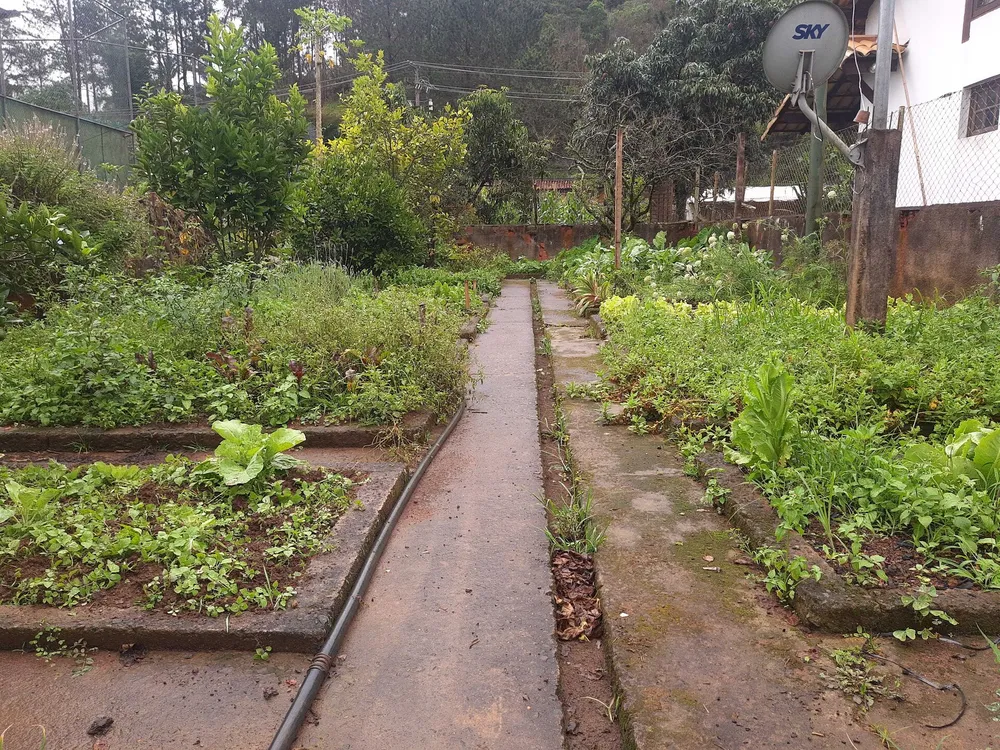 Chácara, 5000 m² - Foto 24