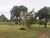 Chácara, 5000 m² - Foto 2
