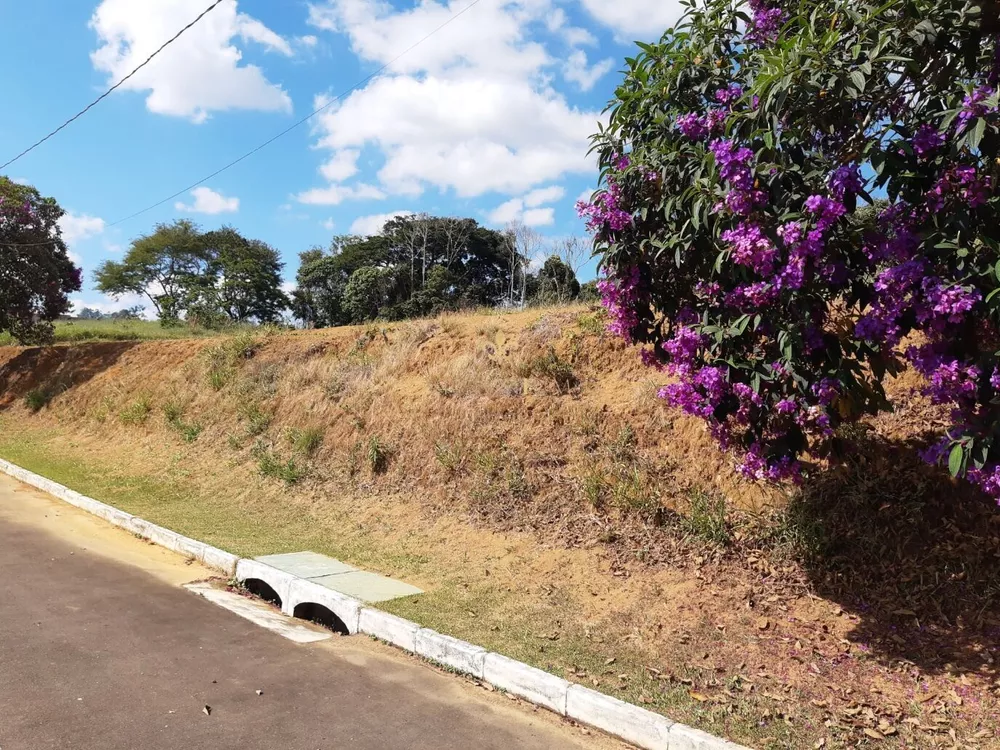 Terreno à venda, 1140m² - Foto 2