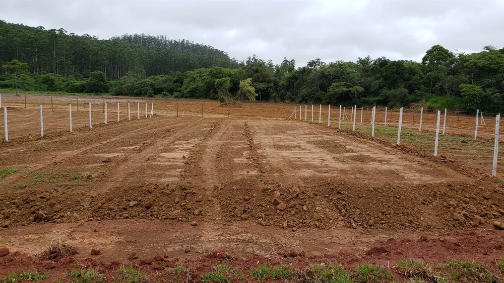 Terreno, 445 m² - Foto 1