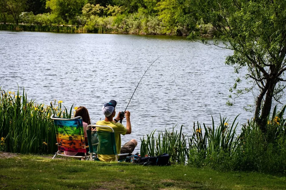 Terreno, 2 hectares - Foto 2