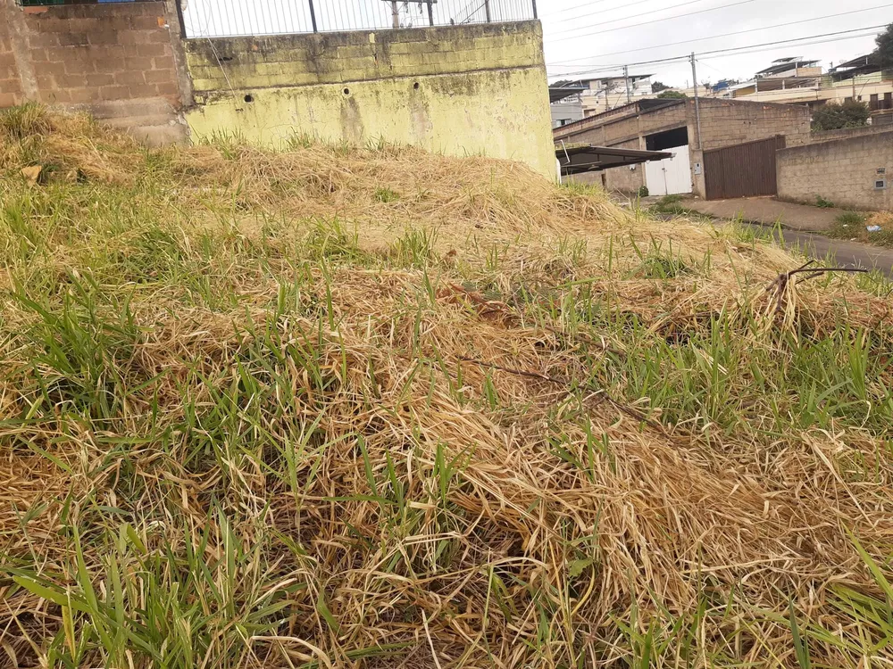 Terreno, 504 m² - Foto 9