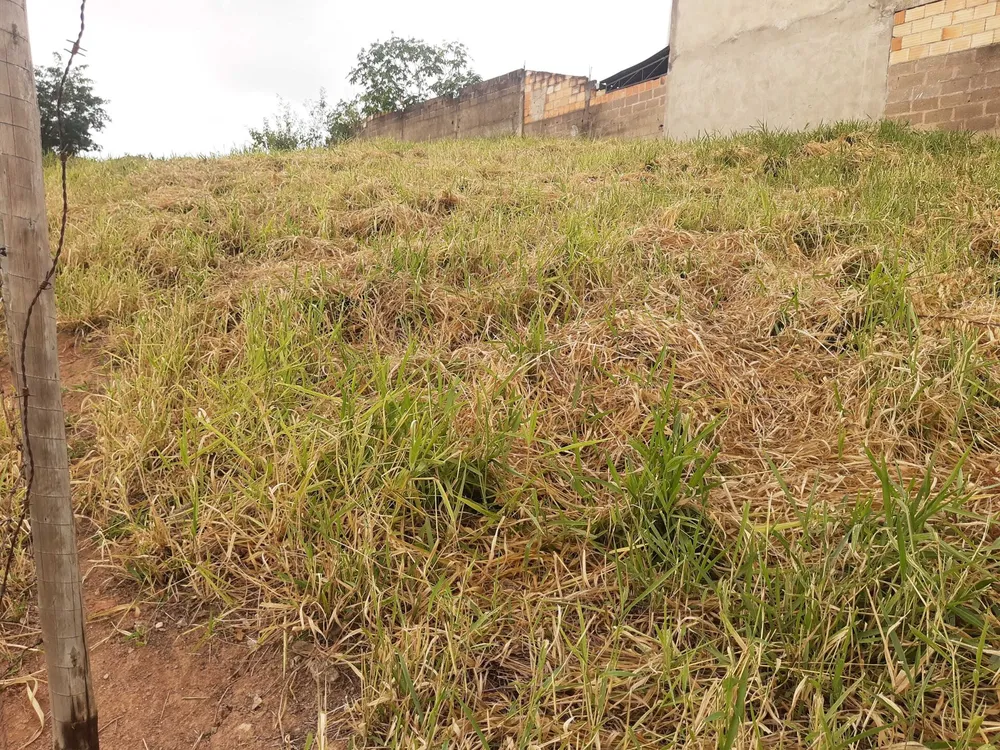 Terreno, 504 m² - Foto 8