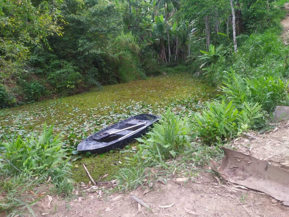 Sítio, 2 quartos, 100 m² - Foto 1