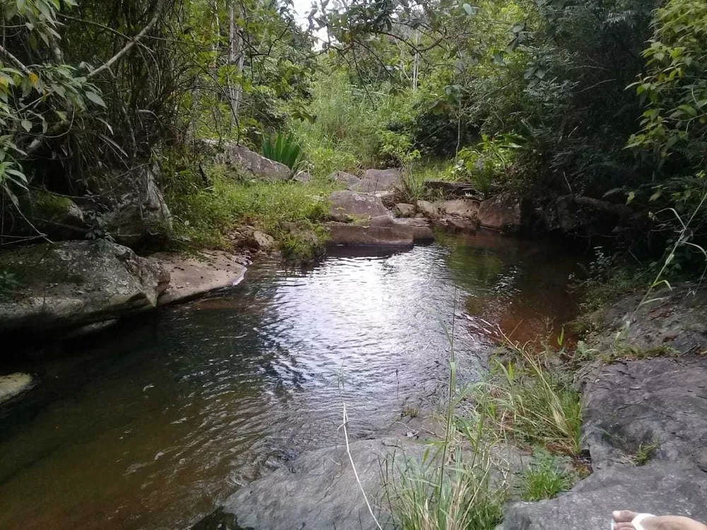 Sítio, 2 quartos, 100 m² - Foto 5