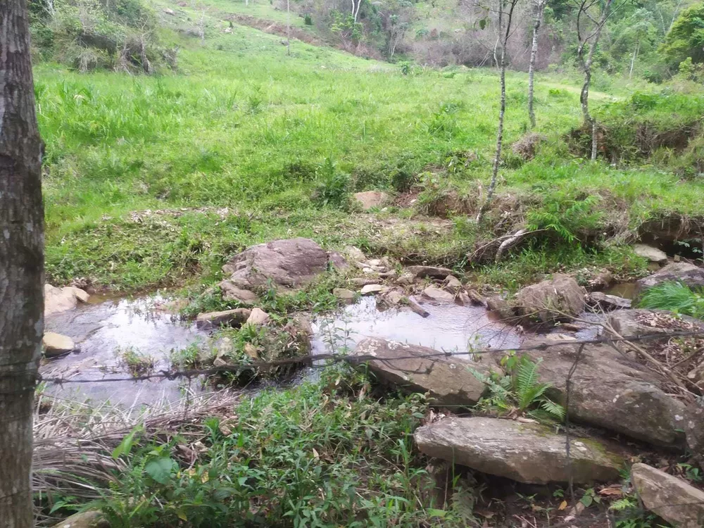 Sítio, 2 quartos, 100 m² - Foto 6