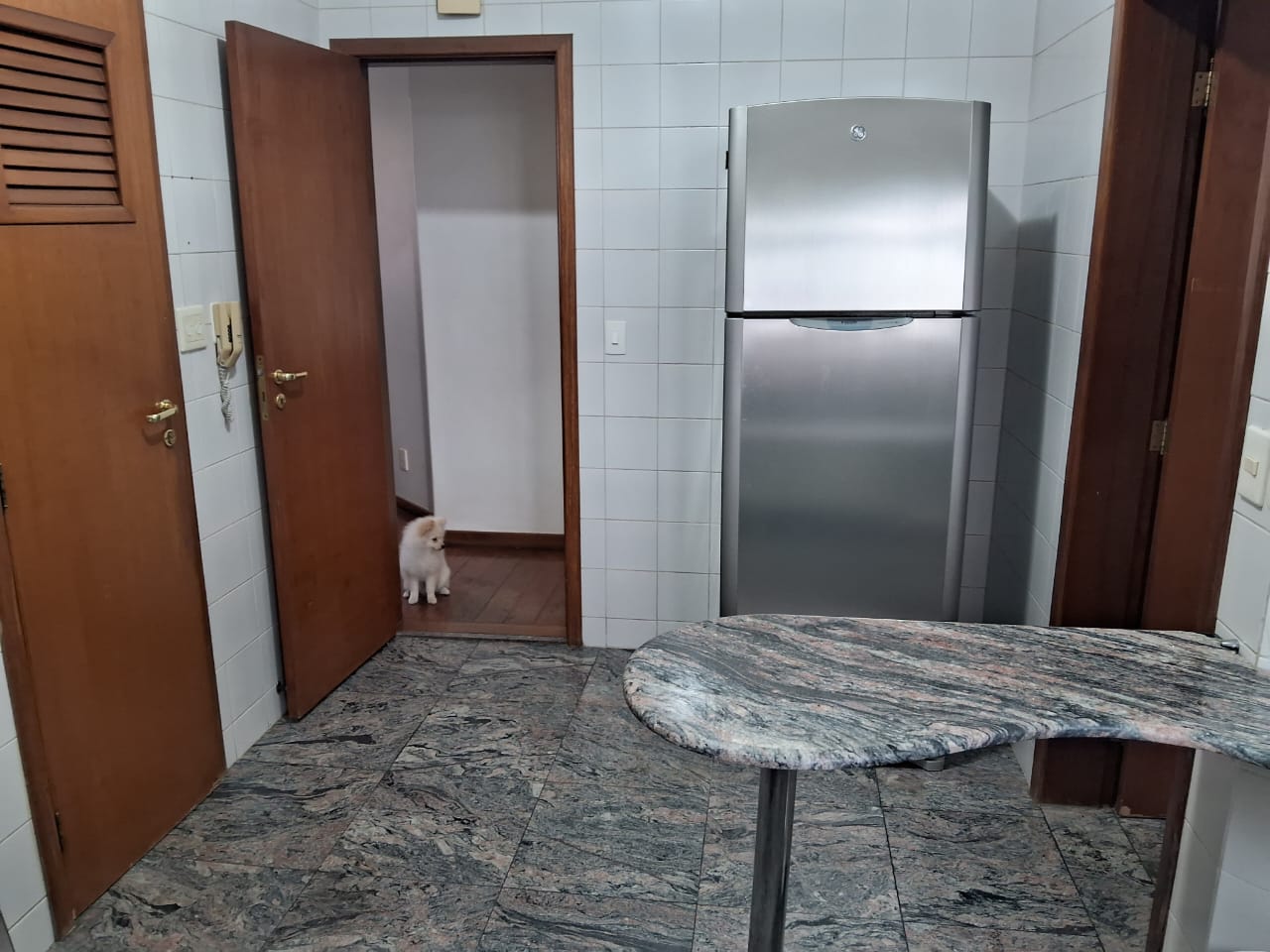 Apartamento à venda com 4 quartos, 173m² - Foto 4