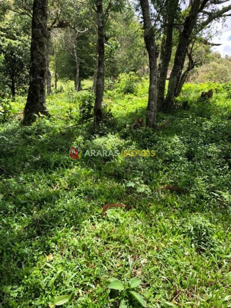 Terreno, 3 hectares - Foto 3