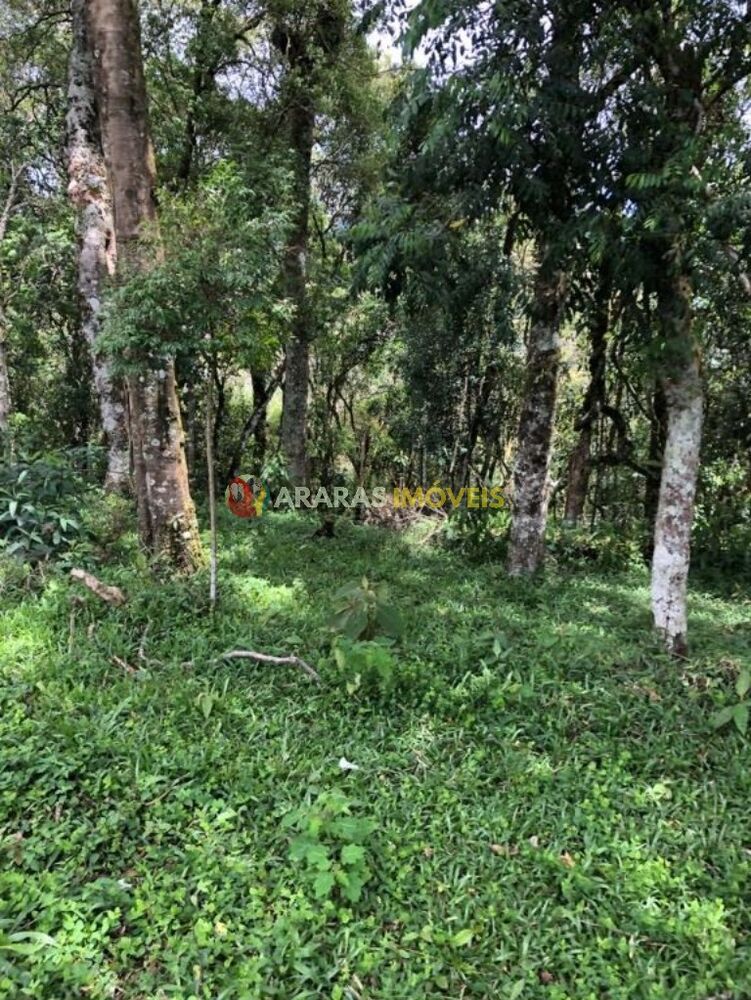 Terreno, 3 hectares - Foto 2