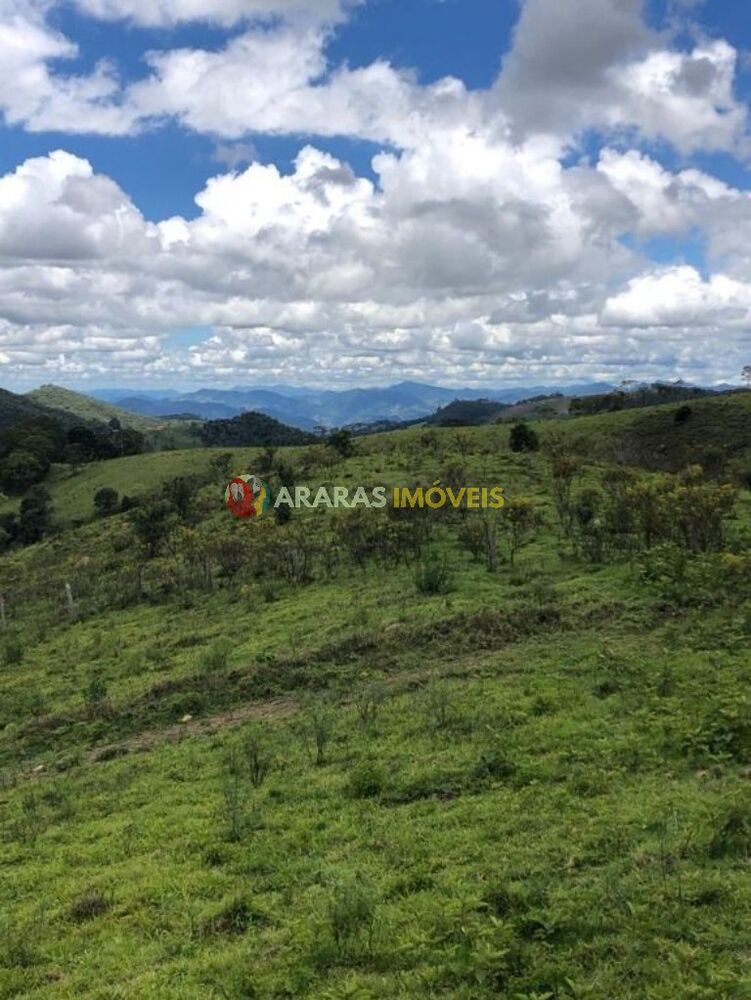 Terreno, 3 hectares - Foto 1