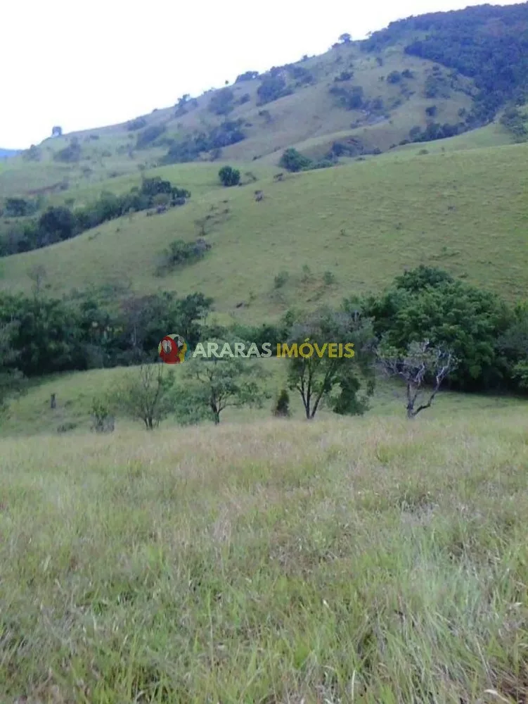 Terreno, 1 hectares - Foto 14