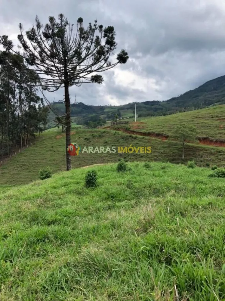 Terreno, 6 hectares - Foto 15