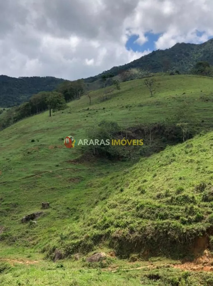 Terreno, 6 hectares - Foto 3