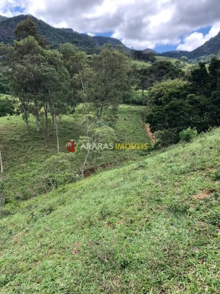 Terreno, 6 hectares - Foto 8