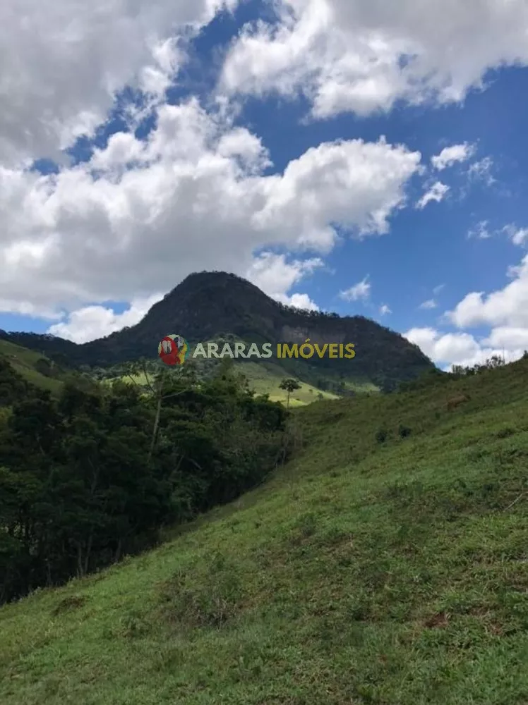 Terreno, 6 hectares - Foto 16