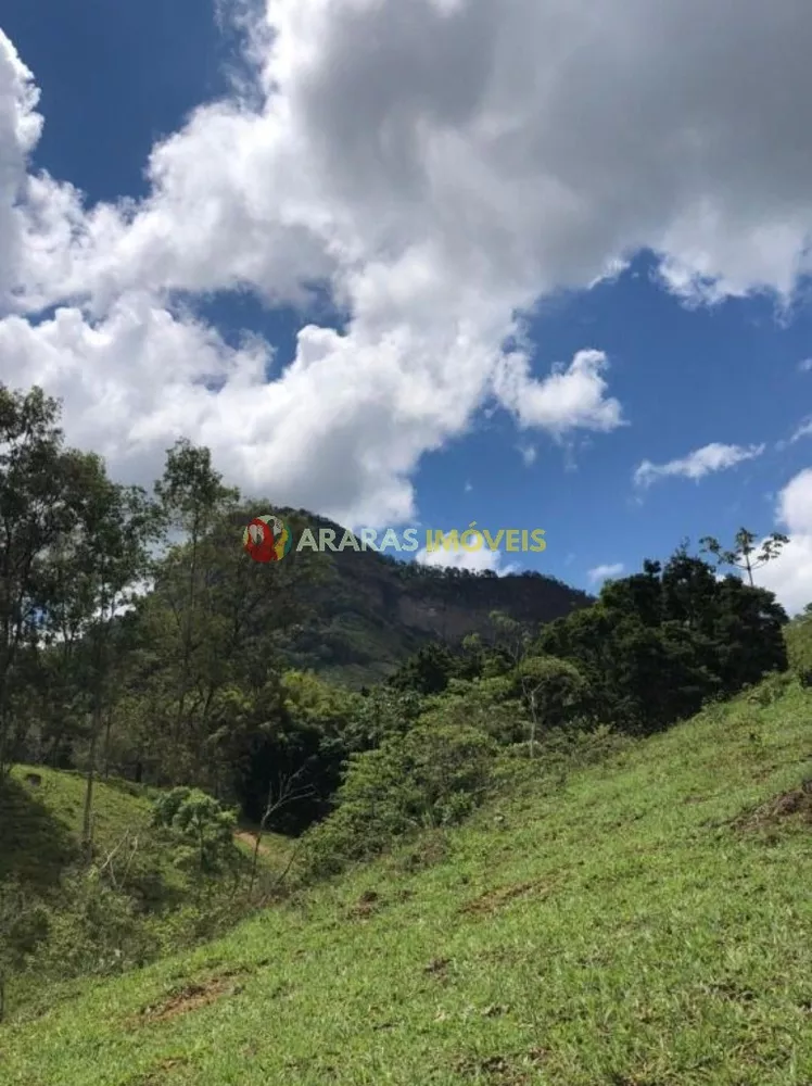 Terreno, 6 hectares - Foto 2