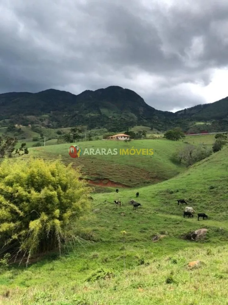 Terreno, 6 hectares - Foto 6