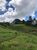 Terreno, 6 hectares - Foto 3