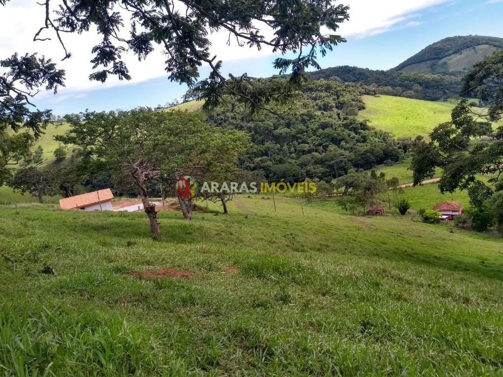 Terreno, 2 hectares - Foto 4