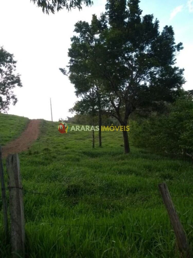 Terreno, 2 hectares - Foto 3