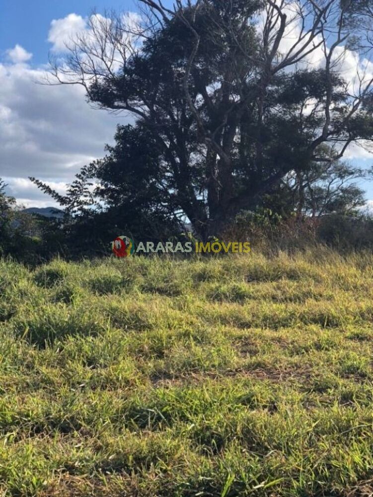 Terreno, 2 hectares - Foto 2