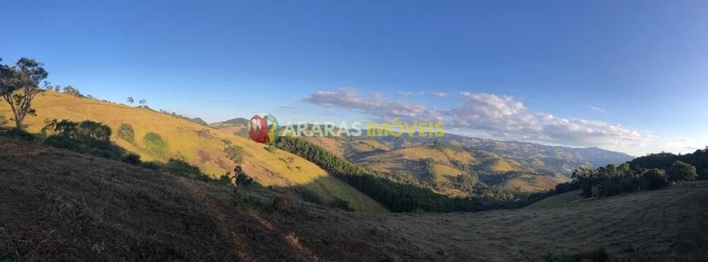 Terreno, 3 hectares - Foto 2