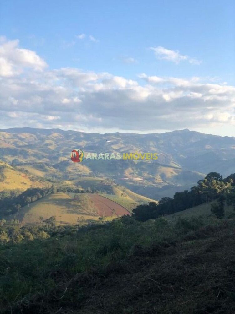 Terreno, 3 hectares - Foto 1